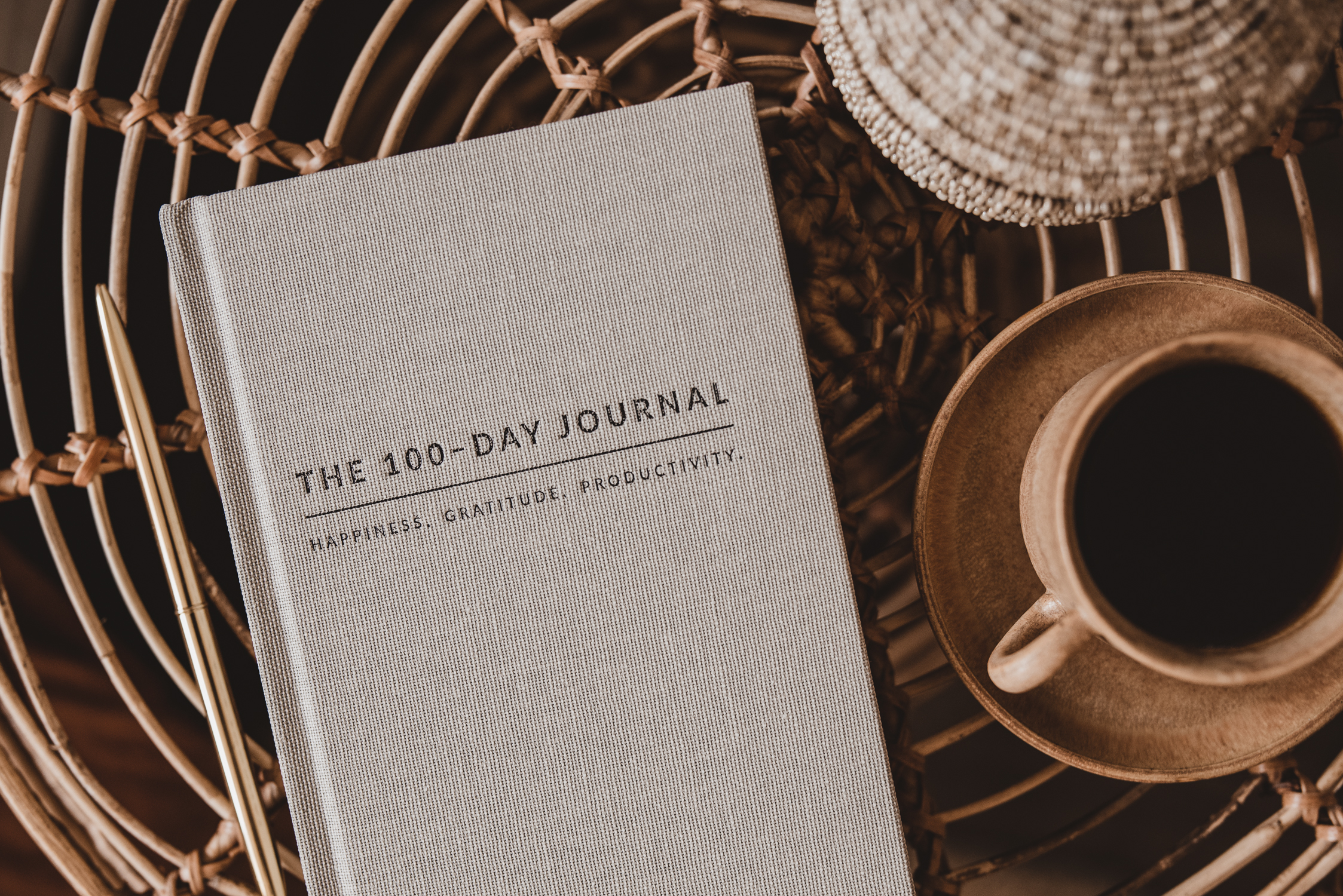 The 100 day journal - ByDenize